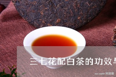 三七花配白茶的功效与禁忌/2023040174151