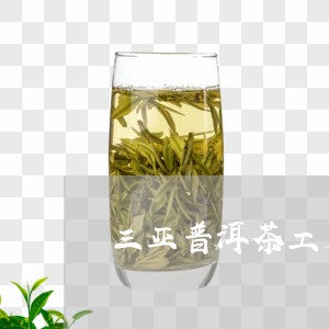 三亚普洱茶工厂店/2023033088460