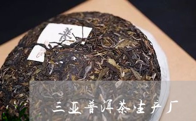 三亚普洱茶生产厂/2023033043827