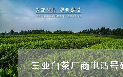 三亚白茶厂商电话号码查询/2023040173817