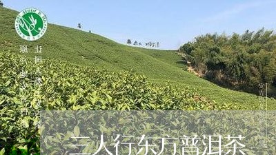 三人行东方普洱茶/2023033051704