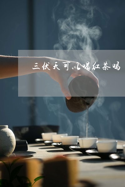 三伏天可以喝红茶吗/2023041586350