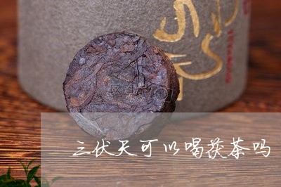 三伏天可以喝茯茶吗/2023031823047