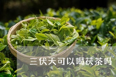 三伏天可以喝茯茶吗/2023041426262