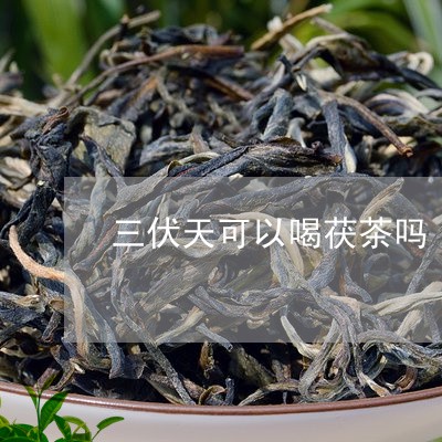 三伏天可以喝茯茶吗/2023041487069