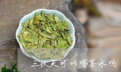 三伏天可以喝茶水吗/2023041649480