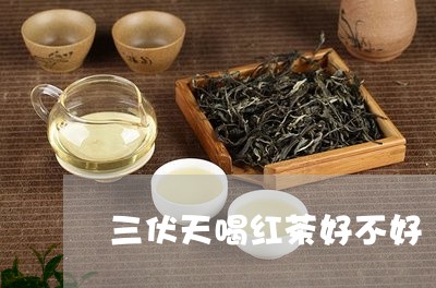 三伏天喝红茶好不好/2023031956158