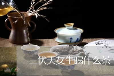 三伏天女生喝什么茶/2023041550294