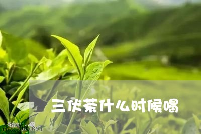 三伏茶什么时候喝/2023032217050