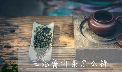 三元普洱茶怎么样/2023033101603