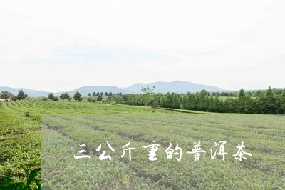 三公斤重的普洱茶/2023033090925