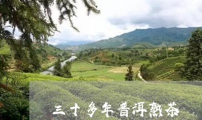 三十多年普洱熟茶/2023041432604