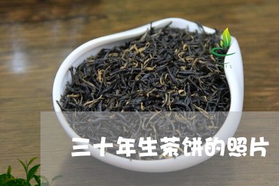 三十年生茶饼的照片/2023032277461