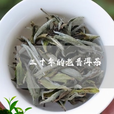 三十年的老普洱茶/2023033007272