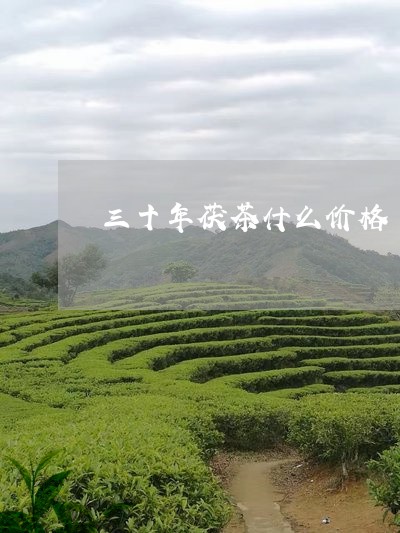 三十年茯茶什么价格/2023041603151