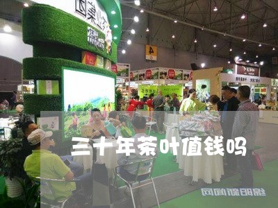 三十年茶叶值钱吗/2023032688503