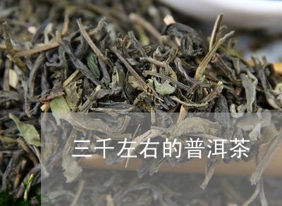 三千左右的普洱茶/2023041193704