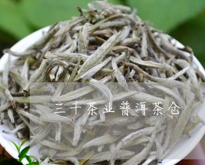 三千茶业普洱茶仓/2023040925058