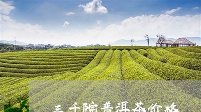 三千院普洱茶价格/2023041201406