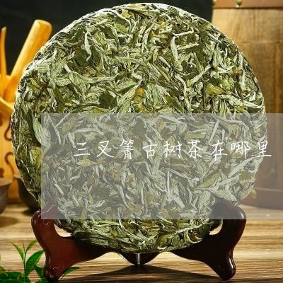 三叉箐古树茶在哪里/2023032287360