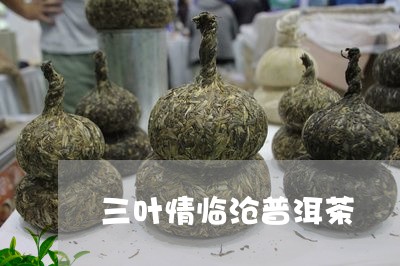 三叶情临沧普洱茶/2023033092647