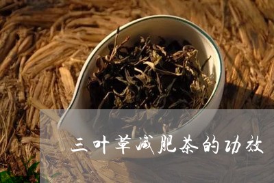 三叶草减肥茶的功效/2023032148260