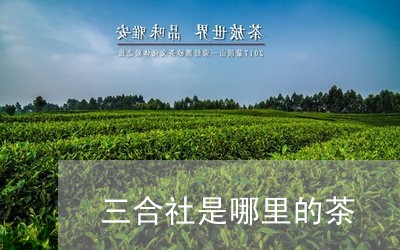 三合社是哪里的茶/2023032528240