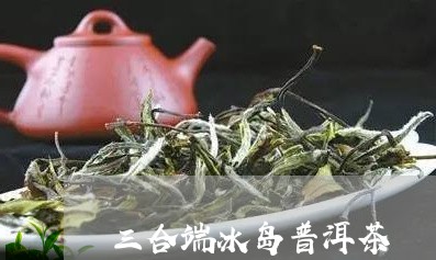 三合端冰岛普洱茶/2023031795936