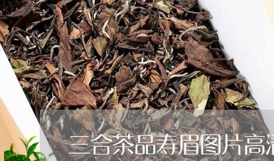 三合茶品寿眉图片高清大图/2023040112793