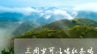 三周岁可以喝红茶吗/2023031935071