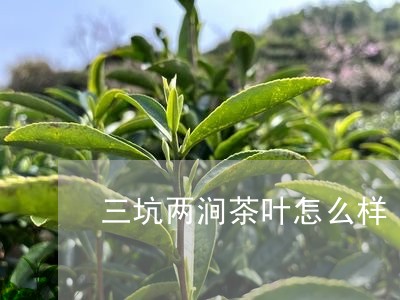 三坑两涧茶叶怎么样/2023032229262