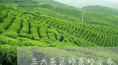 三大茶区的茶的分布/2023032176259