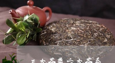 三大茶类六大茶系/2023032405059