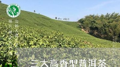 三大高香型普洱茶/2023031698593