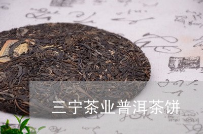 三宁茶业普洱茶饼/2023040186148