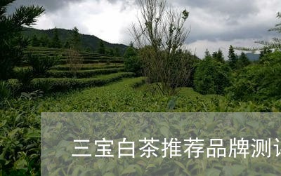 三宝白茶推荐品牌测评视频/2023040165279