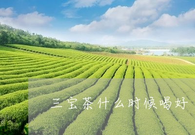 三宝茶什么时候喝好/2023031840394