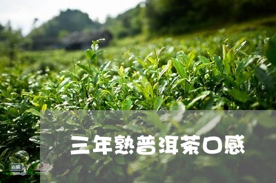 三年熟普洱茶口感/2023033182504