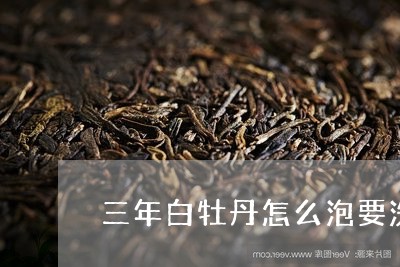 三年白牡丹怎么泡要洗茶吗/2023040129424