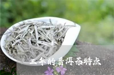 三年的普洱茶特点/2023032904049