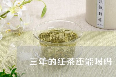 三年的红茶还能喝吗/2023032092615