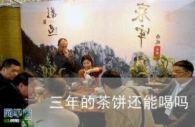 三年的茶饼还能喝吗/2023041606150