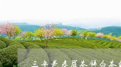 三年老寿眉茶饼白茶的功效/2023040162714