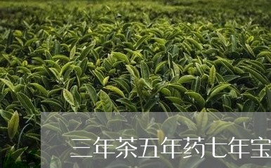 三年茶五年药七年宝/2023032074827