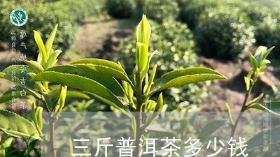 三斤普洱茶多少钱/2023033175371