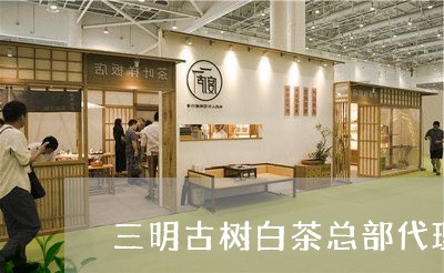 三明古树白茶总部代理在哪/2023040169363