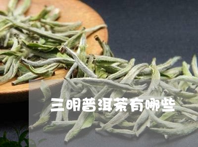 三明普洱茶有哪些/2023033139503