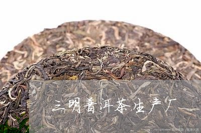 三明普洱茶生产厂/2023031663838