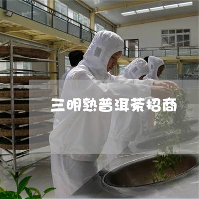 三明熟普洱茶招商/2023033083047