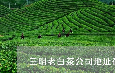 三明老白茶公司地址在哪里/2023040190582